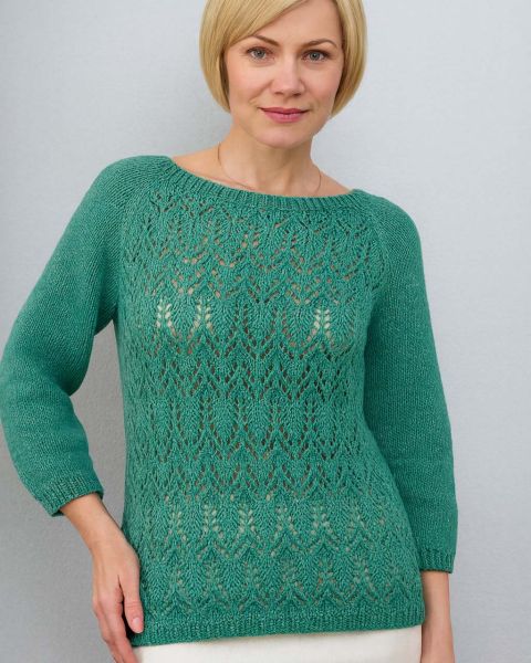 Pull avec Point de Feuilles Ajourées