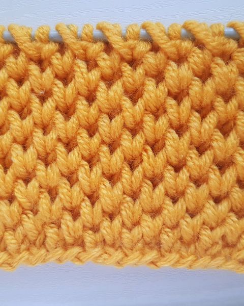 Point Fantaisie Tricot