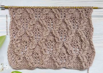 Point de Feuilles Fantaisie au Tricot