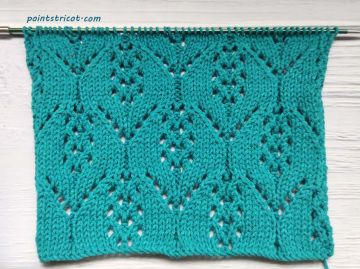 Point de Feuilles Ajourées au Tricot