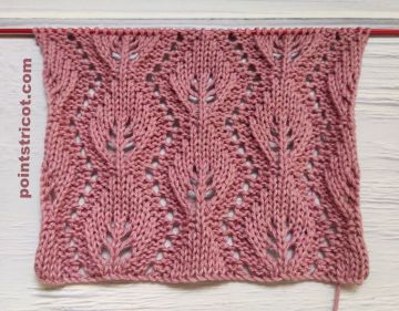 Point de Feuilles Ajourées au Tricot