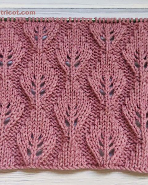 Point de Feuilles au Tricot