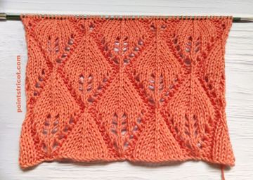 Point de Feuilles au Tricot
