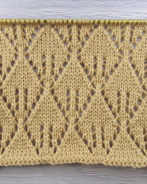 Point de Feuilles Ajourées au Tricot