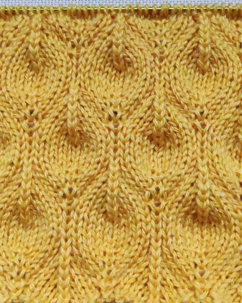 Point de Feuilles au Tricot